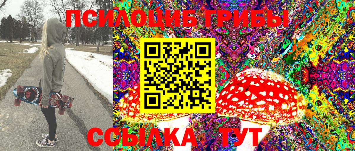 Псилоцибиновые грибы Psilocybine cubensis  Вход с VPN  Бугуруслан 
