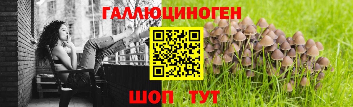 Псилоцибиновые грибы Magic Shrooms Бугуруслан